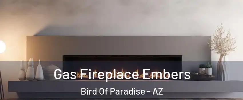 Gas Fireplace Embers Bird Of Paradise - AZ