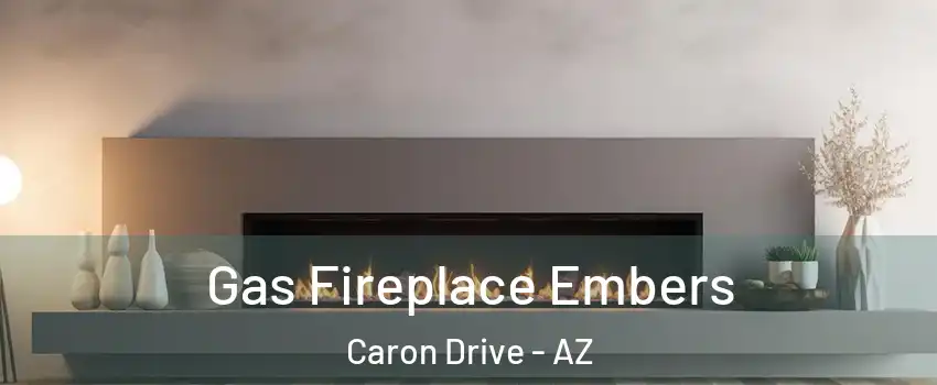 Gas Fireplace Embers Caron Drive - AZ