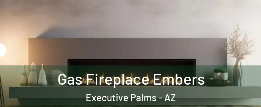 Gas Fireplace Embers Executive Palms - AZ