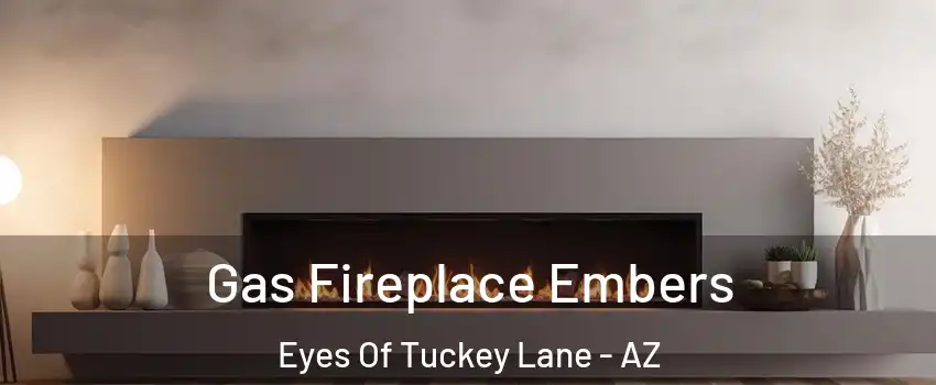 Gas Fireplace Embers Eyes Of Tuckey Lane - AZ