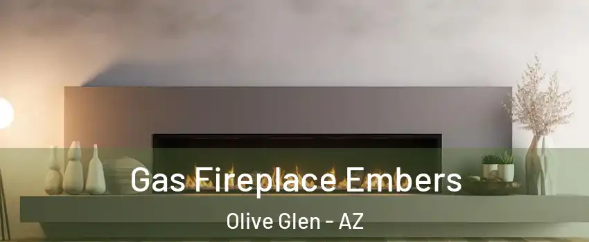 Gas Fireplace Embers Olive Glen - AZ