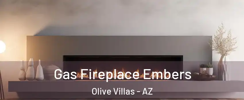 Gas Fireplace Embers Olive Villas - AZ