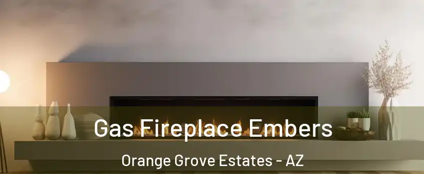 Gas Fireplace Embers Orange Grove Estates - AZ