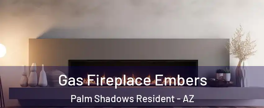 Gas Fireplace Embers Palm Shadows Resident - AZ