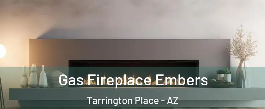 Gas Fireplace Embers Tarrington Place - AZ