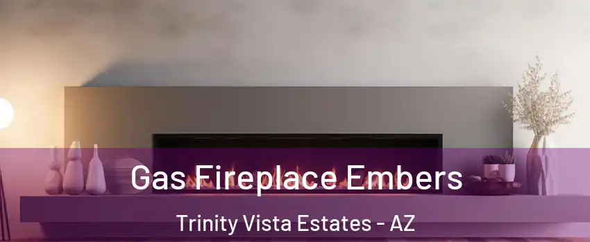 Gas Fireplace Embers Trinity Vista Estates - AZ
