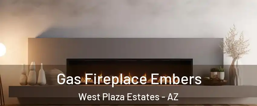 Gas Fireplace Embers West Plaza Estates - AZ