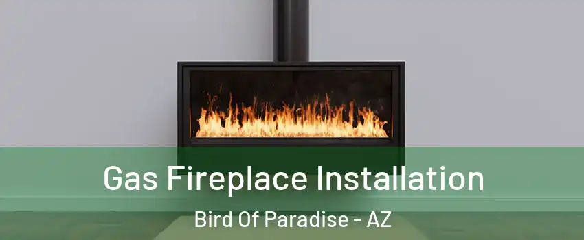 Gas Fireplace Installation Bird Of Paradise - AZ