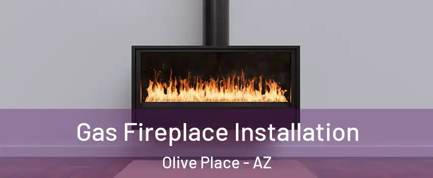 Gas Fireplace Installation Olive Place - AZ