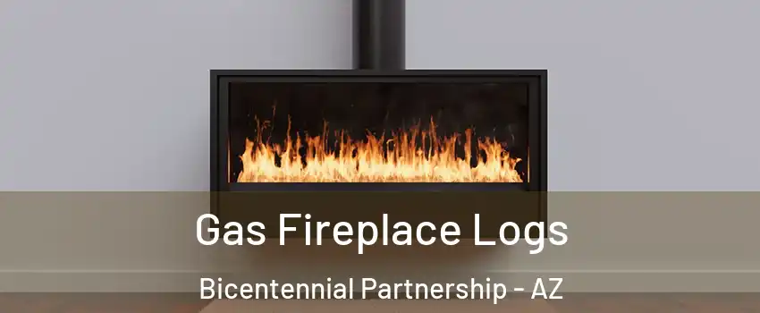 Gas Fireplace Logs Bicentennial Partnership - AZ