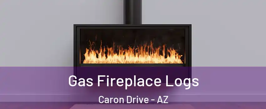 Gas Fireplace Logs Caron Drive - AZ