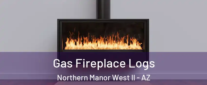 Gas Fireplace Logs Northern Manor West II - AZ