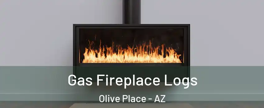 Gas Fireplace Logs Olive Place - AZ