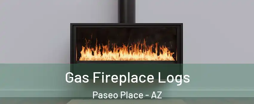 Gas Fireplace Logs Paseo Place - AZ