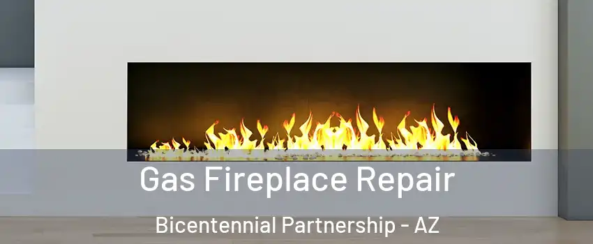 Gas Fireplace Repair Bicentennial Partnership - AZ