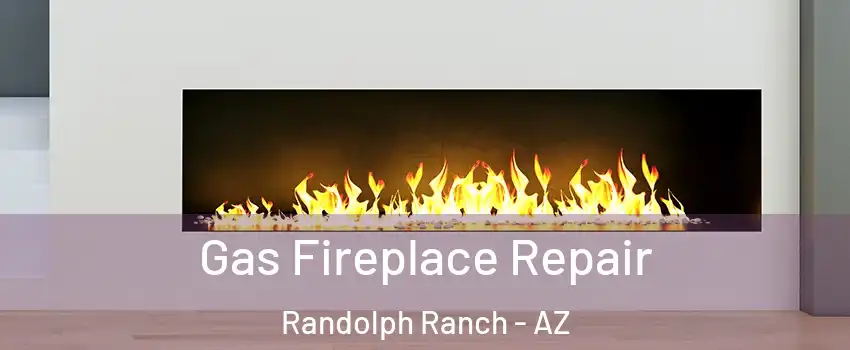 Gas Fireplace Repair Randolph Ranch - AZ