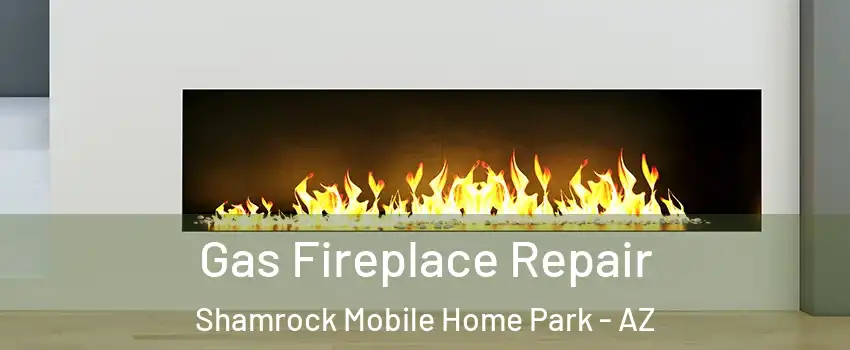 Gas Fireplace Repair Shamrock Mobile Home Park - AZ