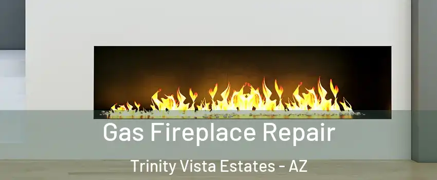 Gas Fireplace Repair Trinity Vista Estates - AZ