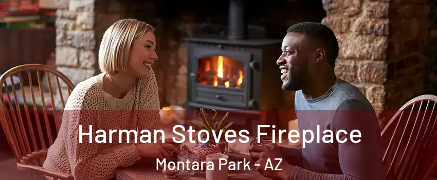 Harman Stoves Fireplace Montara Park - AZ