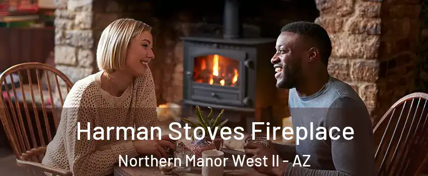 Harman Stoves Fireplace Northern Manor West II - AZ