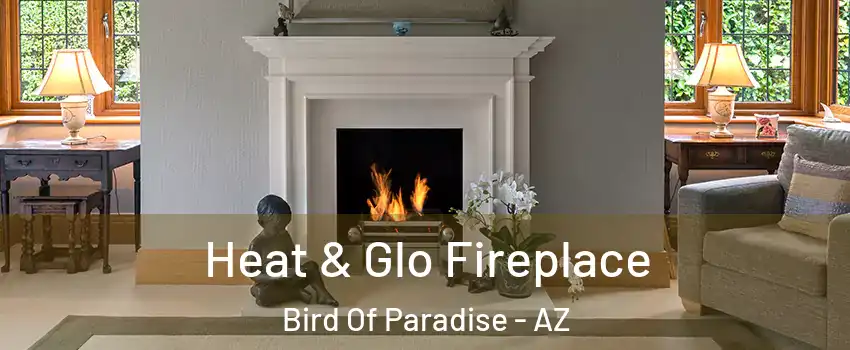Heat & Glo Fireplace Bird Of Paradise - AZ