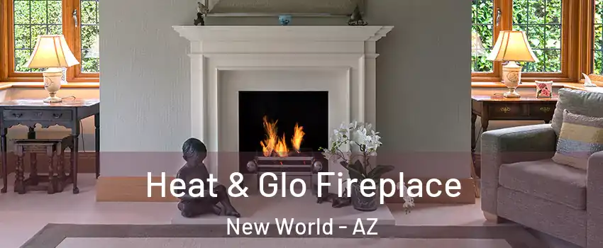 Heat & Glo Fireplace New World - AZ