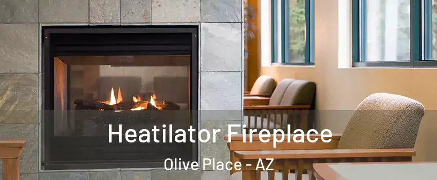 Heatilator Fireplace Olive Place - AZ