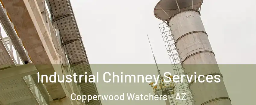 Industrial Chimney Services Copperwood Watchers - AZ
