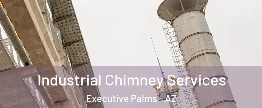 Industrial Chimney Services Executive Palms - AZ
