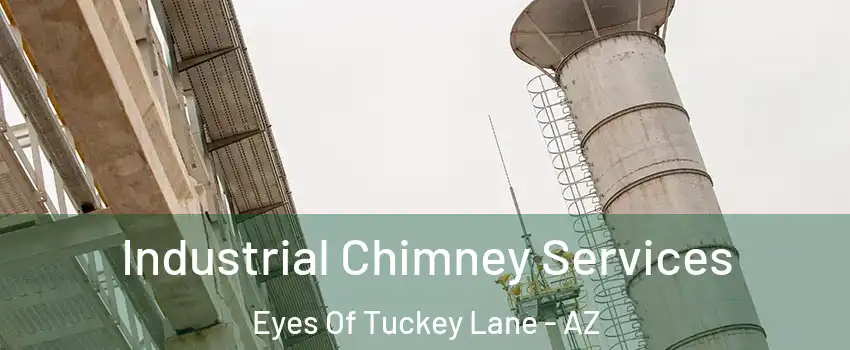 Industrial Chimney Services Eyes Of Tuckey Lane - AZ