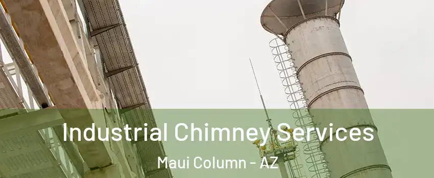 Industrial Chimney Services Maui Column - AZ