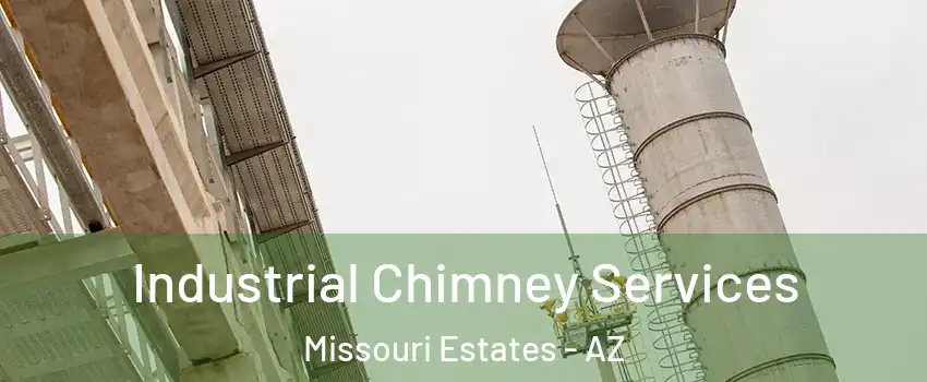Industrial Chimney Services Missouri Estates - AZ
