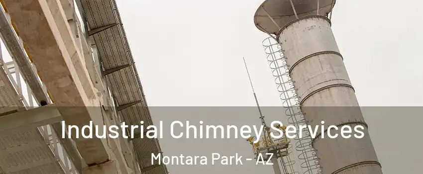 Industrial Chimney Services Montara Park - AZ