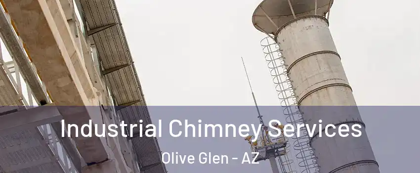 Industrial Chimney Services Olive Glen - AZ