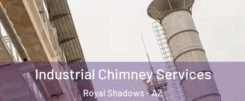 Industrial Chimney Services Royal Shadows - AZ