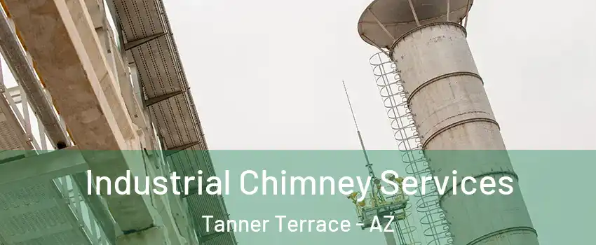 Industrial Chimney Services Tanner Terrace - AZ