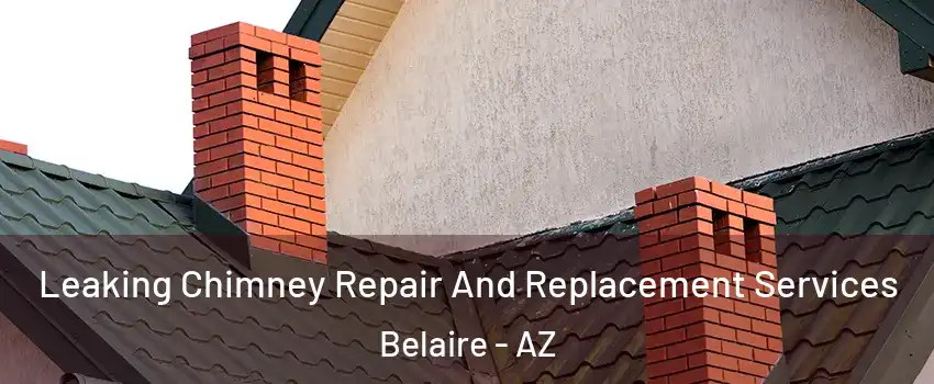 Leaking Chimney Repair And Replacement Services Belaire - AZ