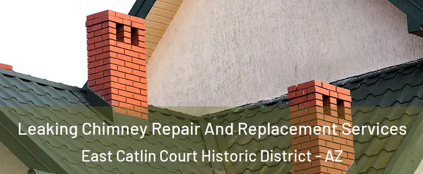 Leaking Chimney Repair And Replacement Services East Catlin Court Historic District - AZ
