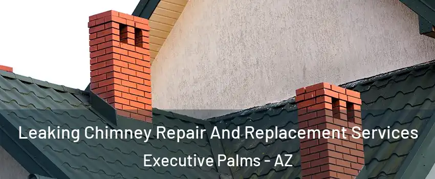 Leaking Chimney Repair And Replacement Services Executive Palms - AZ
