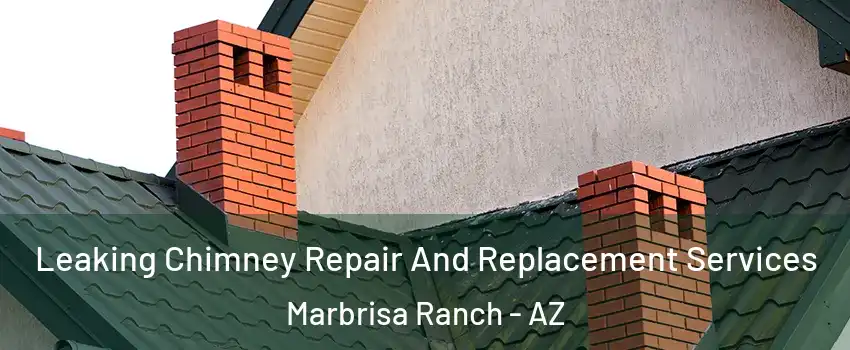 Leaking Chimney Repair And Replacement Services Marbrisa Ranch - AZ