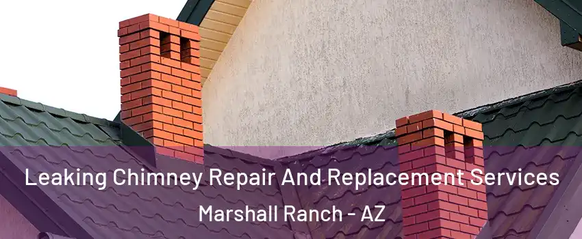 Leaking Chimney Repair And Replacement Services Marshall Ranch - AZ