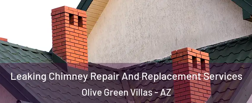 Leaking Chimney Repair And Replacement Services Olive Green Villas - AZ