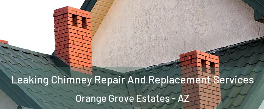 Leaking Chimney Repair And Replacement Services Orange Grove Estates - AZ