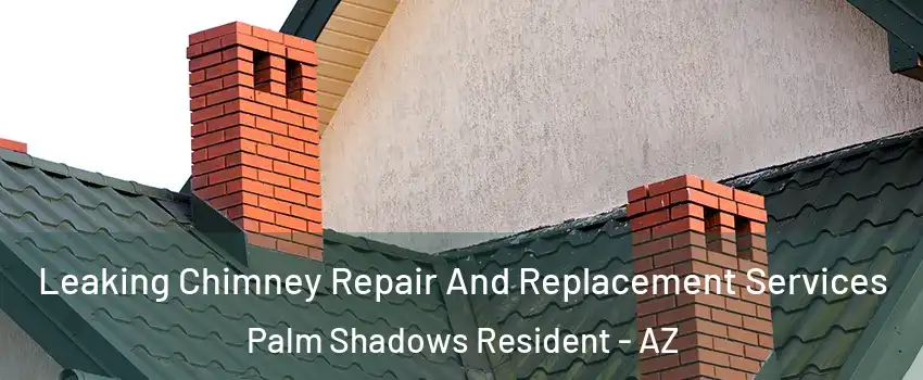 Leaking Chimney Repair And Replacement Services Palm Shadows Resident - AZ