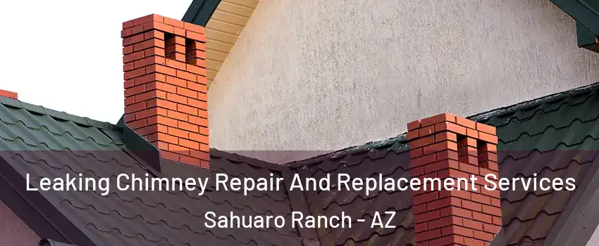 Leaking Chimney Repair And Replacement Services Sahuaro Ranch - AZ