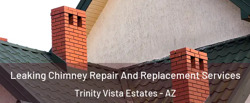 Leaking Chimney Repair And Replacement Services Trinity Vista Estates - AZ
