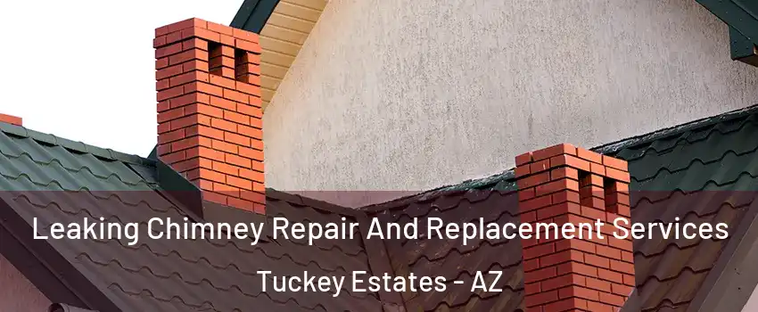 Leaking Chimney Repair And Replacement Services Tuckey Estates - AZ