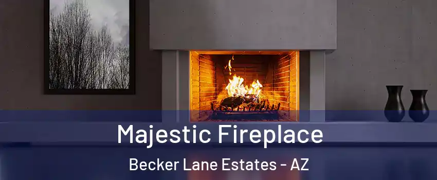 Majestic Fireplace Becker Lane Estates - AZ
