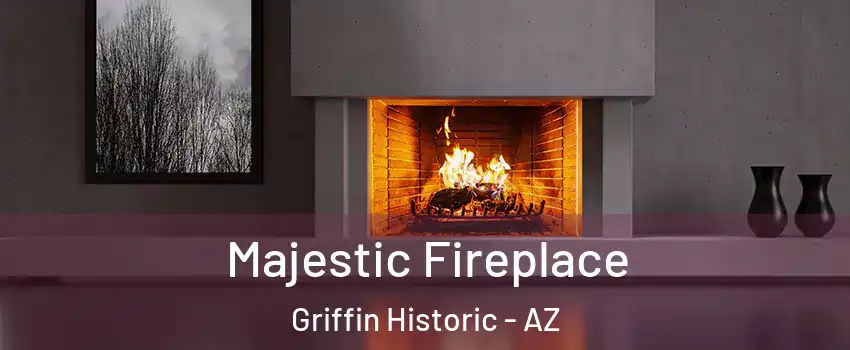 Majestic Fireplace Griffin Historic - AZ