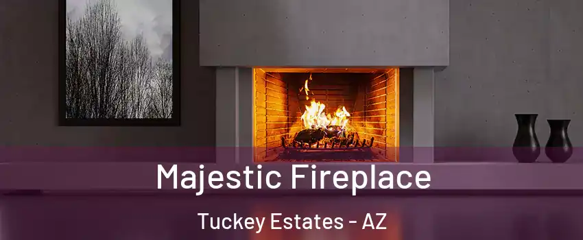 Majestic Fireplace Tuckey Estates - AZ
